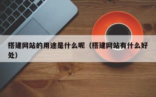 天长搭建网站的用途是什么呢（搭建网站有什么好处）