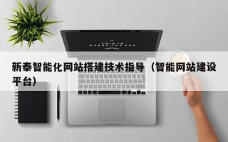 天长新泰智能化网站搭建技术指导（智能网站建设平台）